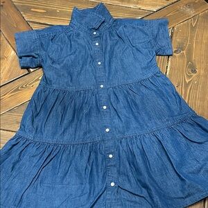 Crewcuts Indigo Button-Down Dress